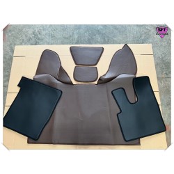 Set of floor mats for DAF...